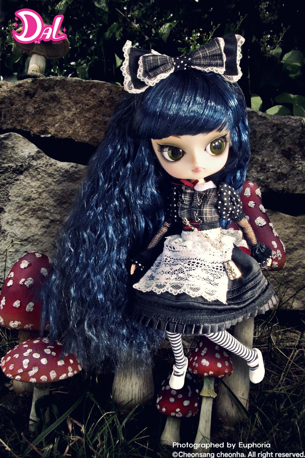 DAL　ダル　Lunatic Alice　ルナティック　アリス 完売 SOLD OUT]Dal / Lunatic Alice (ルナティック・アリス)– Groove