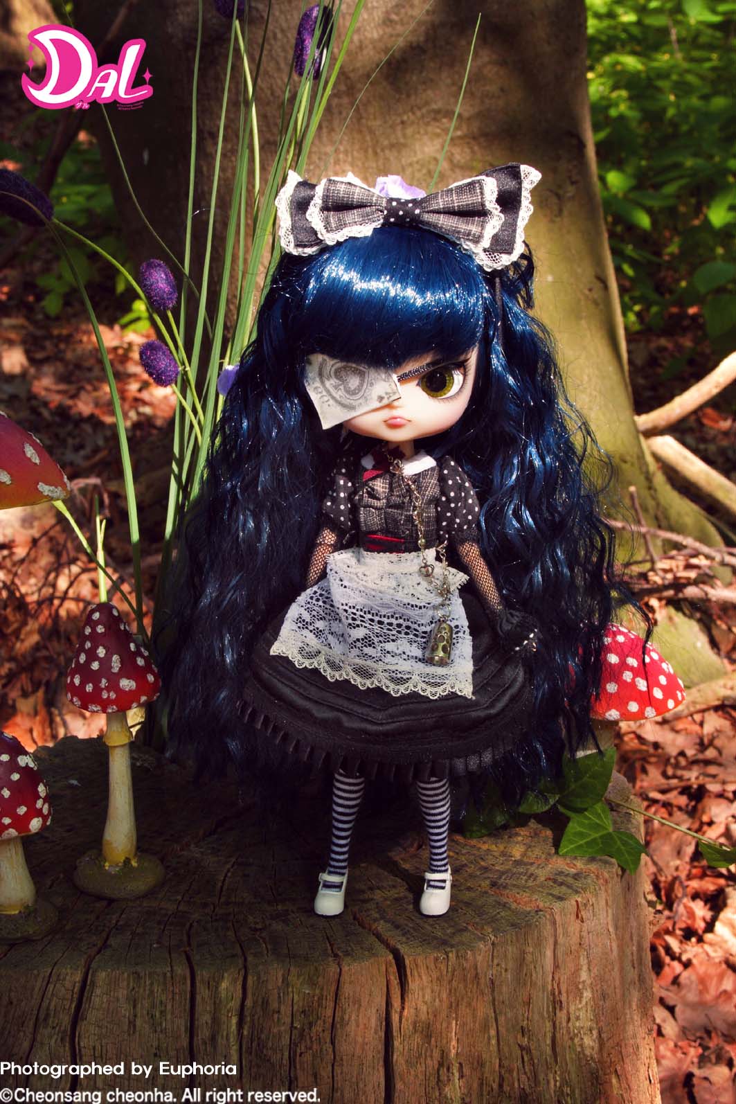 DAL　ダル　Lunatic Alice　ルナティック　アリス 完売 SOLD OUT]Dal / Lunatic Alice (ルナティック・アリス)– Groove